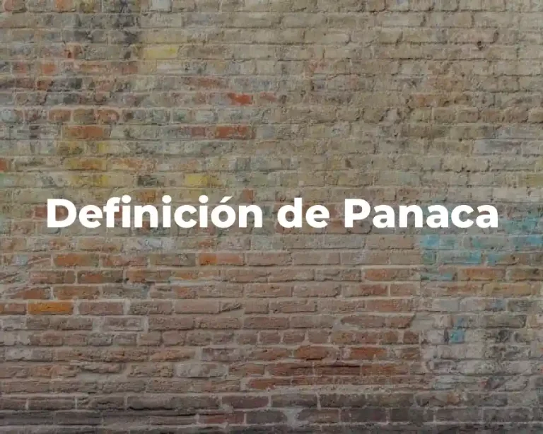 Definición de Panaca
