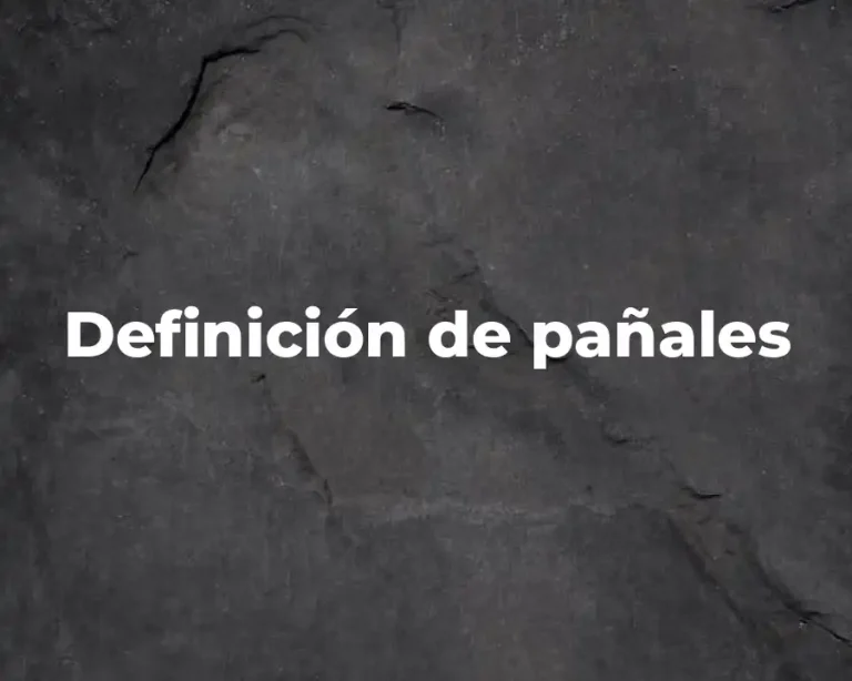 Definición de pañales