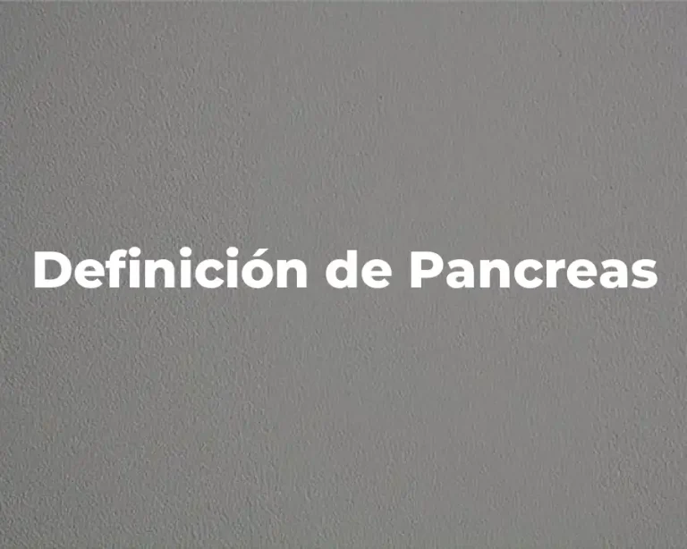 Definición de Pancreas
