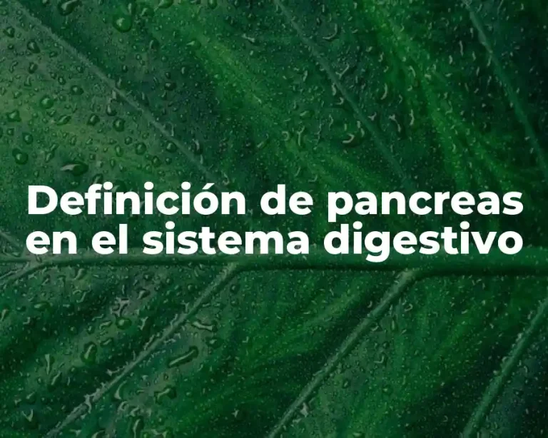 Definición de pancreas en el sistema digestivo