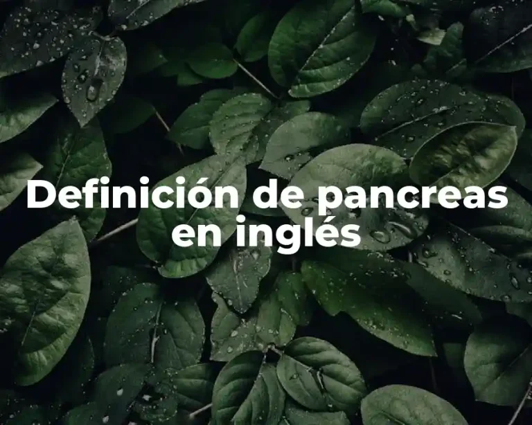 Definición de pancreas en inglés