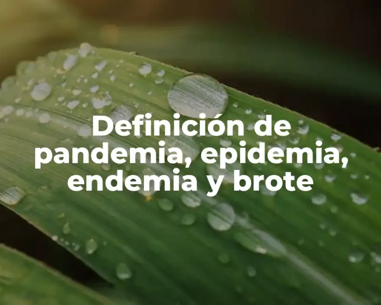 Definición de pandemia, epidemia, endemia y brote