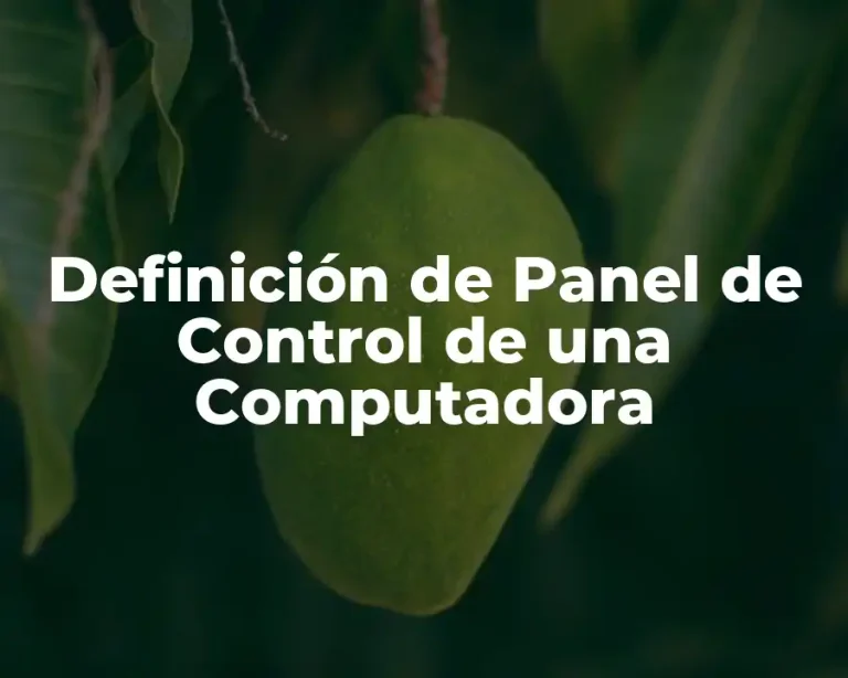 Definición de Panel de Control de una Computadora