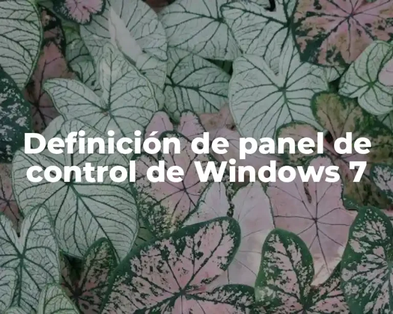 Definición de panel de control de Windows 7