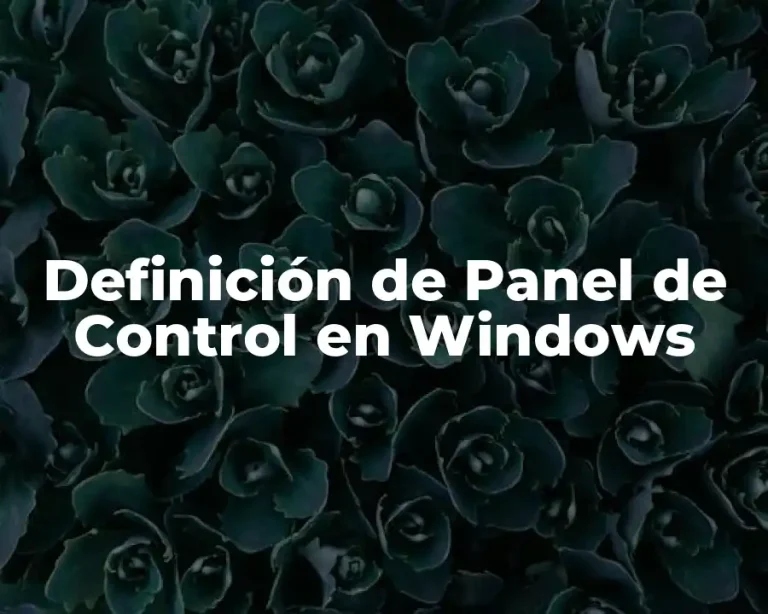 Definición de Panel de Control en Windows
