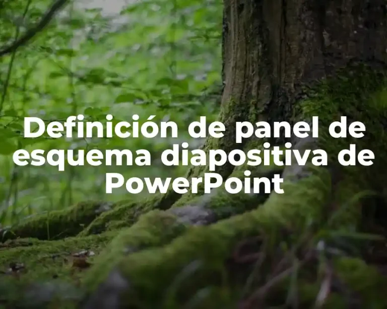 Definición de panel de esquema diapositiva de PowerPoint