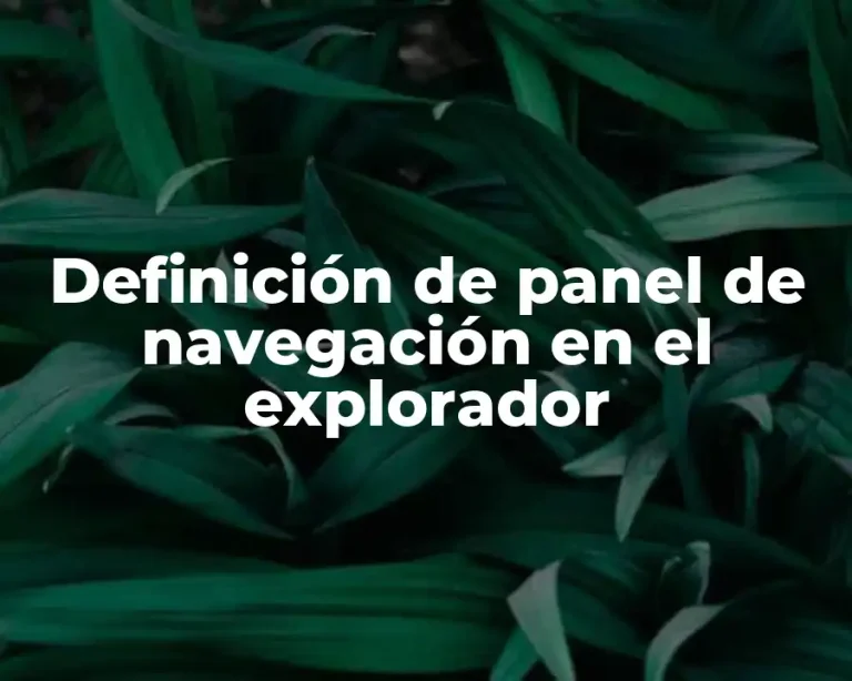 Definición de panel de navegación en el explorador