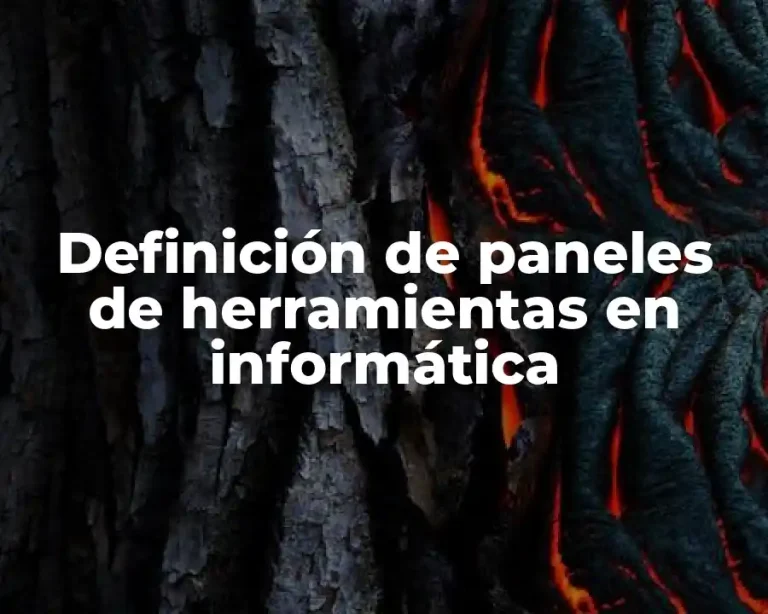 Definición de paneles de herramientas en informática