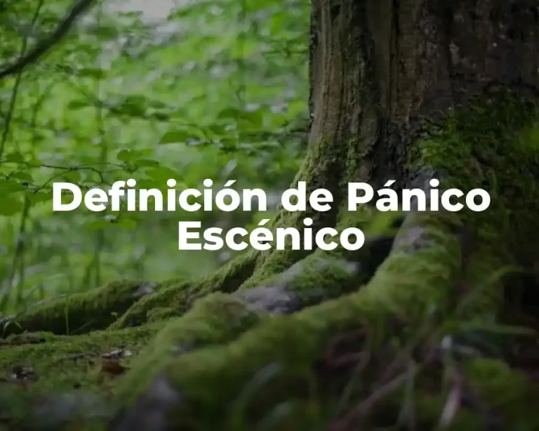 Definición de Pánico Escénico