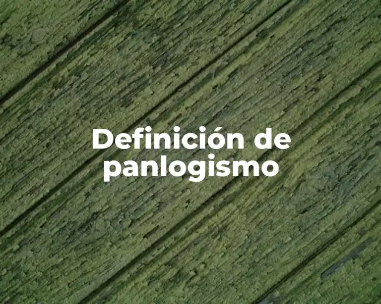 Definición de panlogismo