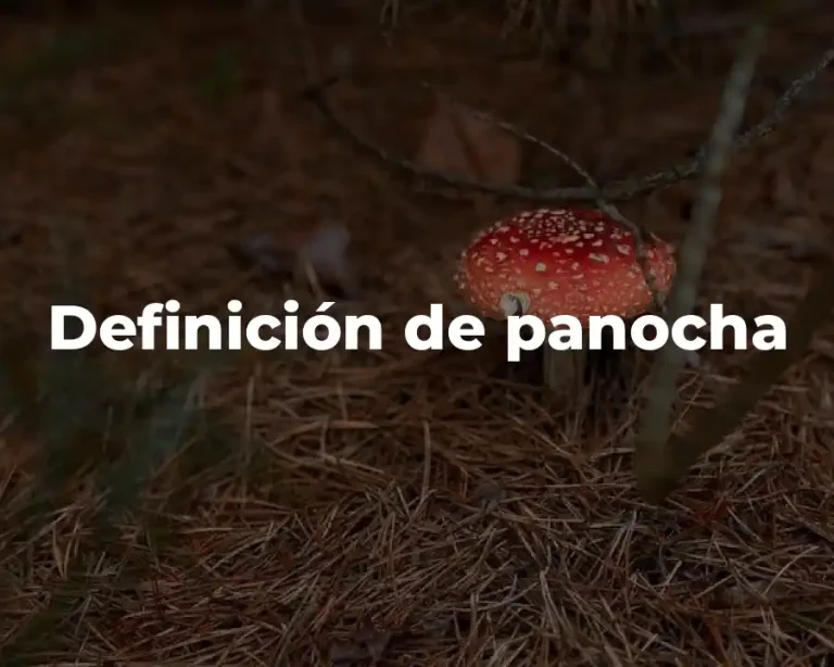 Definición de panocha