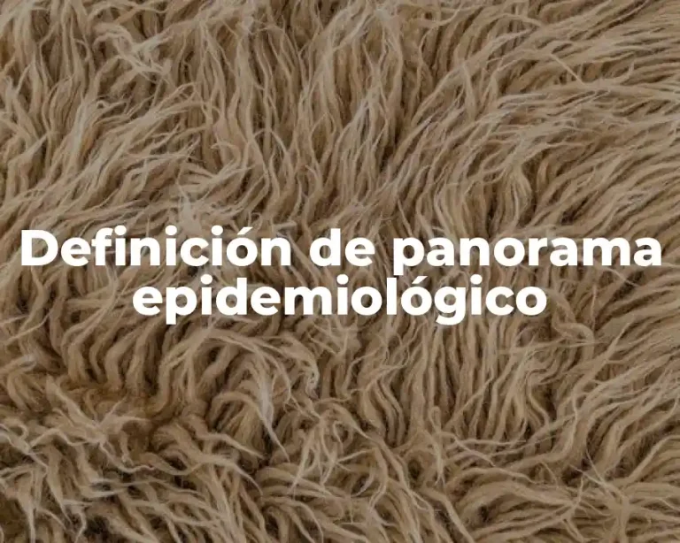Definición de panorama epidemiológico