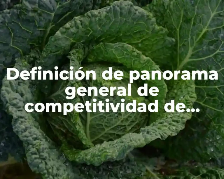 Definición de panorama general de competitividad de México