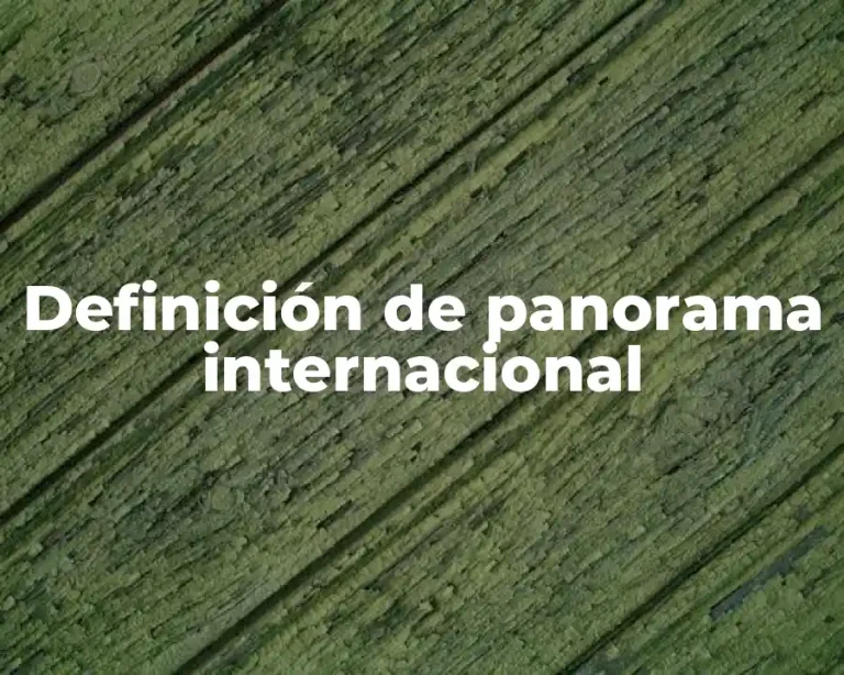 Definición de panorama internacional