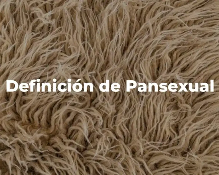 Definición de Pansexual