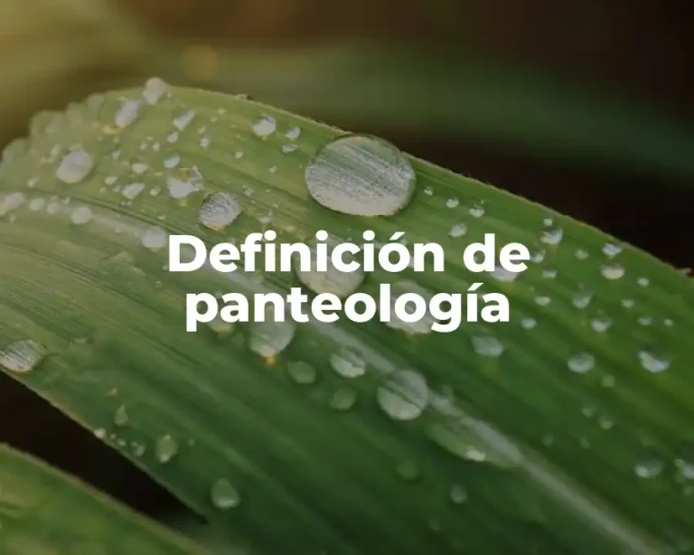 Definición de panteología