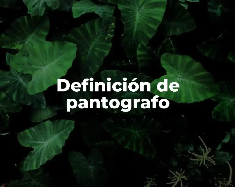 Definición de pantografo