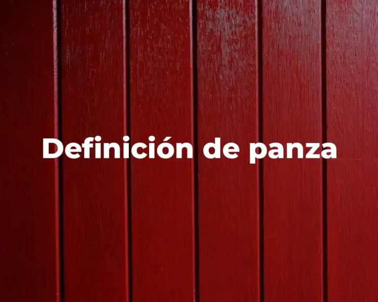 Definición de panza