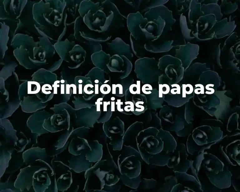 Definición de papas fritas
