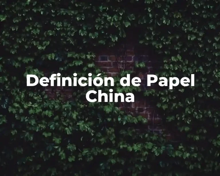 Definición de Papel China