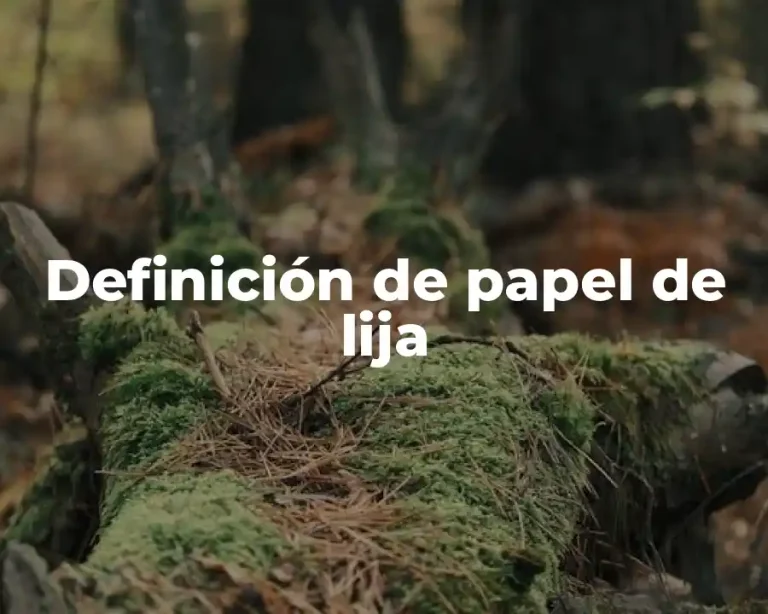 Definición de papel de lija