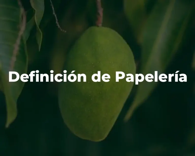 Definición de Papelería