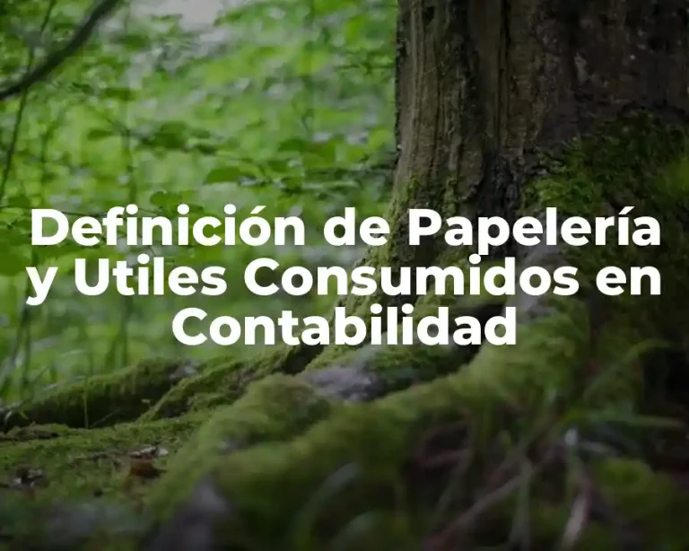 Definición de Papelería y Utiles Consumidos en Contabilidad