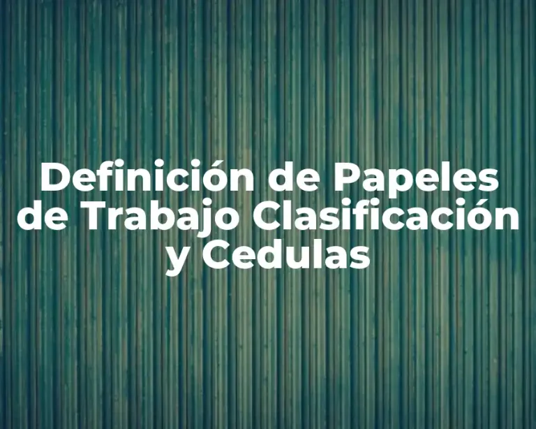 Definición de Papeles de Trabajo Clasificación y Cedulas