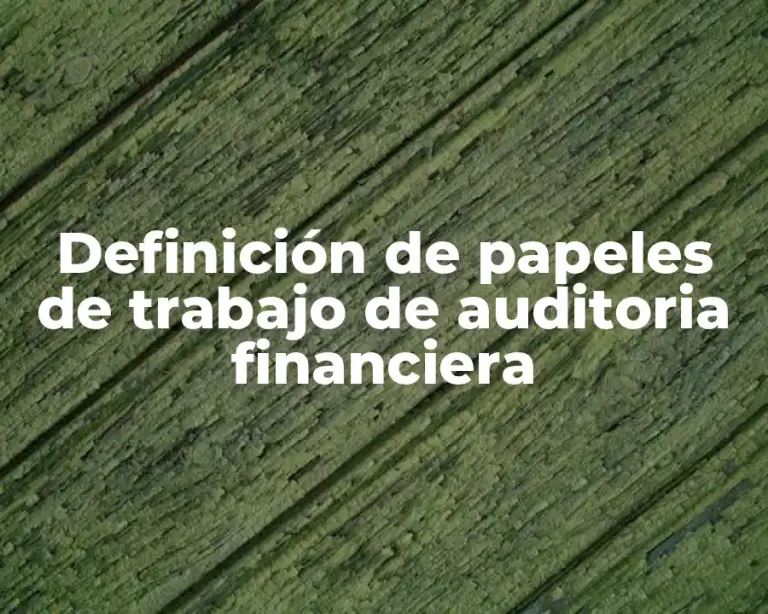 Definición de papeles de trabajo de auditoria financiera