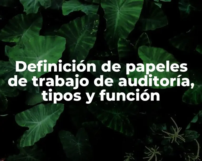Definición de papeles de trabajo de auditoría, tipos y función
