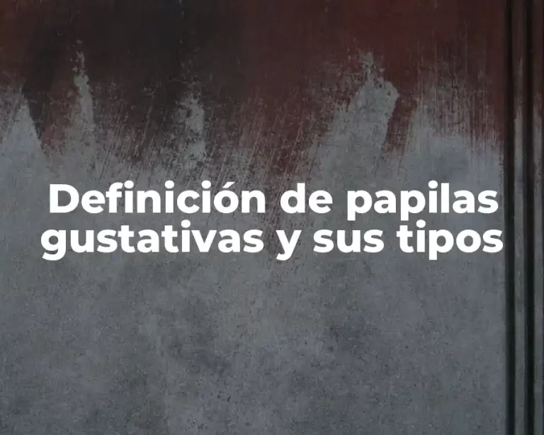 Definición de papilas gustativas y sus tipos