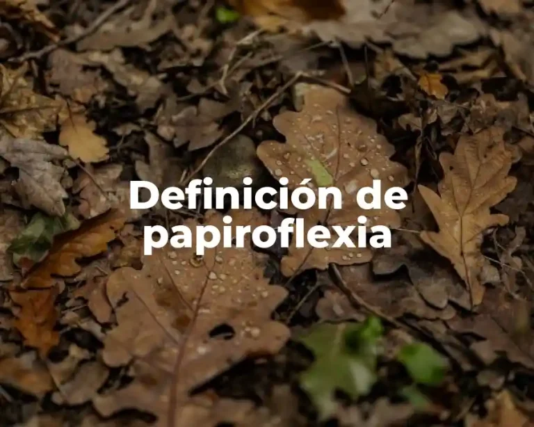 Definición de papiroflexia