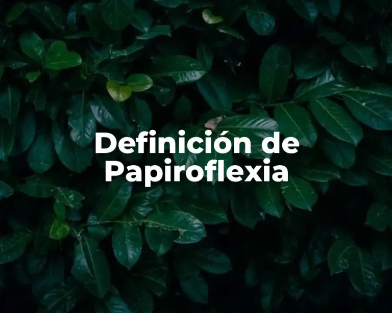 Definición de Papiroflexia
