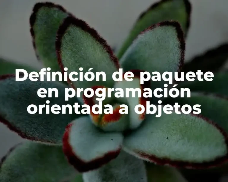Definición de paquete en programación orientada a objetos