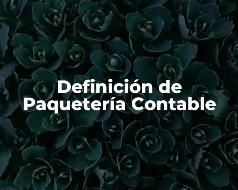 Definición de Paquetería Contable