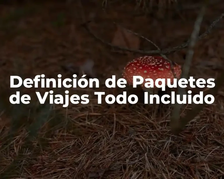 Definición de Paquetes de Viajes Todo Incluido