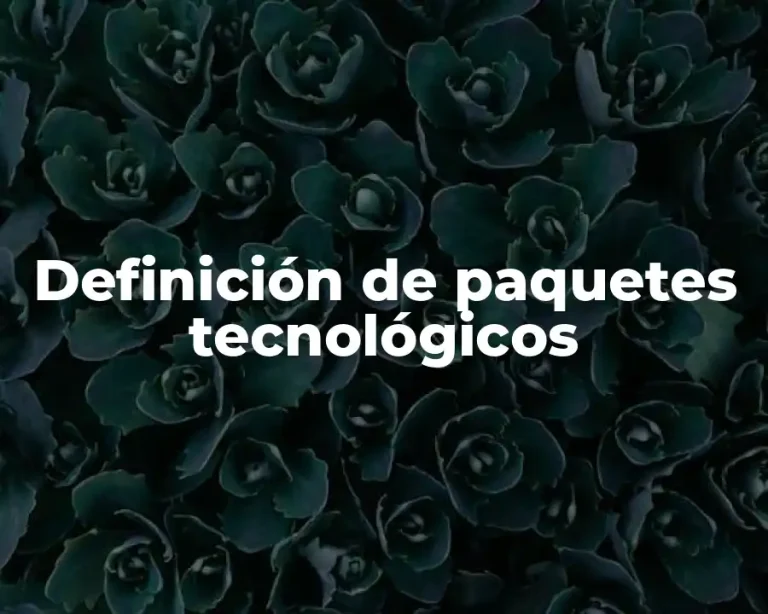 Definición de paquetes tecnológicos