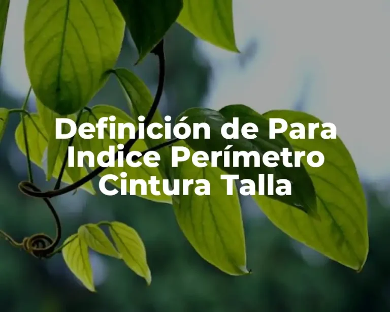 Definición de Para Indice Perímetro Cintura Talla