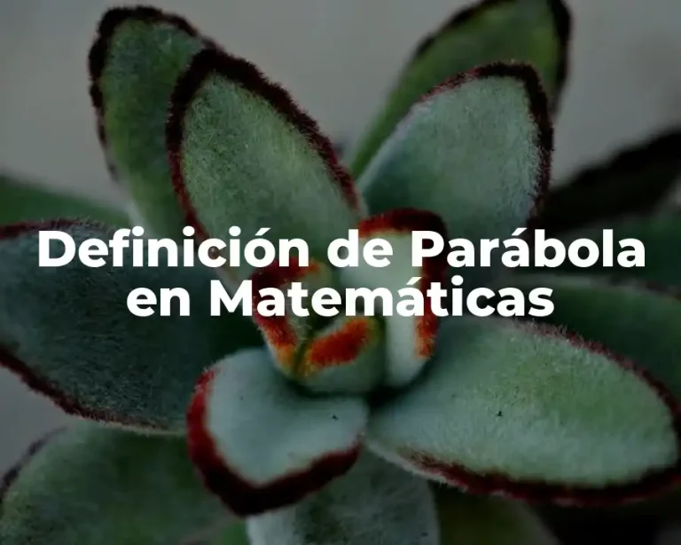 Definición de Parábola en Matemáticas