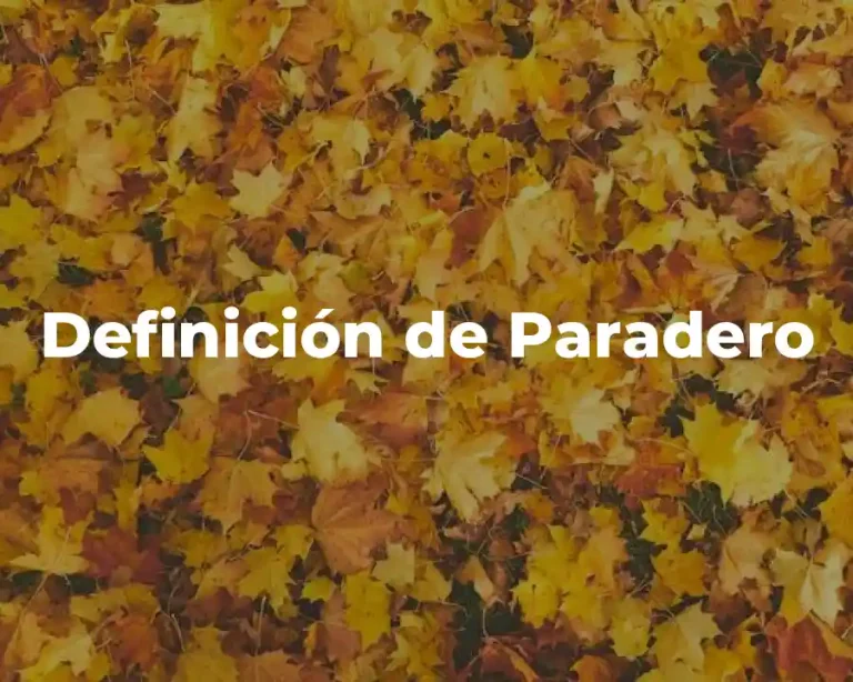 Definición de Paradero
