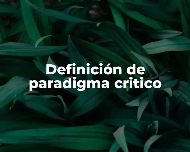 Definición de paradigma critico