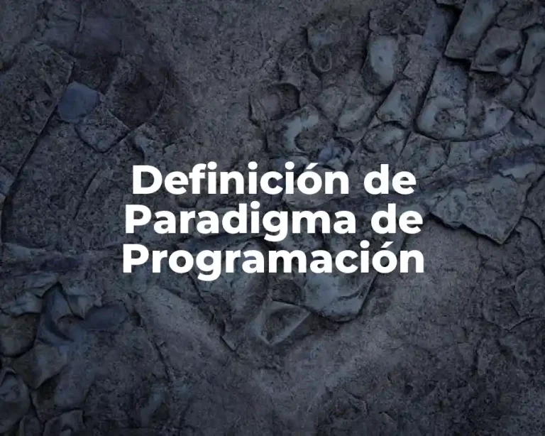 Definición de Paradigma de Programación