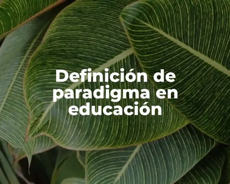 Definición de paradigma en educación