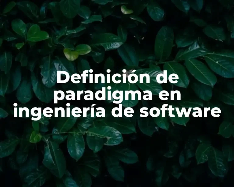 Definición de paradigma en ingeniería de software