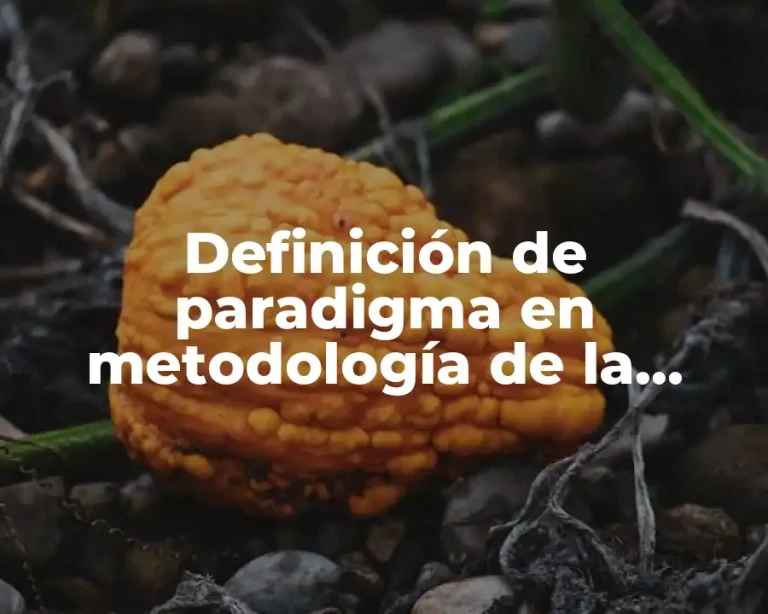 Definición de paradigma en metodología de la investigación