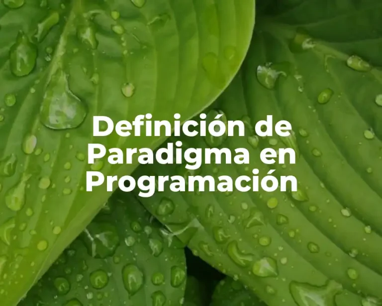 Definición de Paradigma en Programación