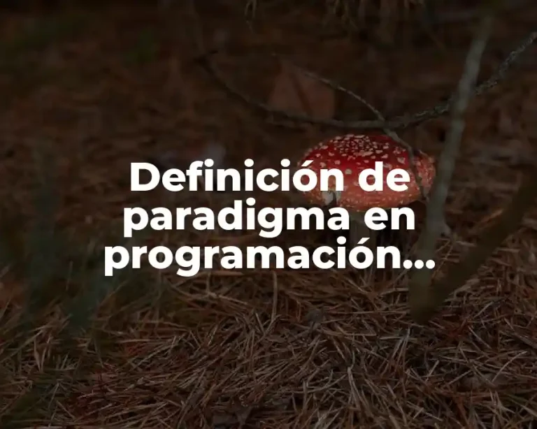 Definición de paradigma en programación orientada a objetos