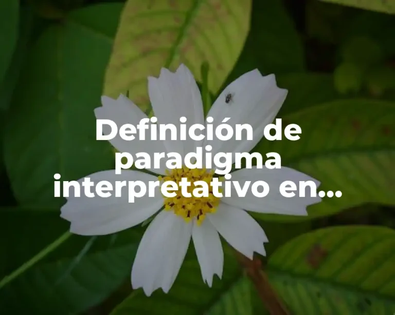 Definición de paradigma interpretativo en educación