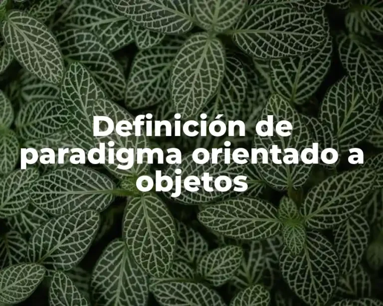 Definición de paradigma orientado a objetos