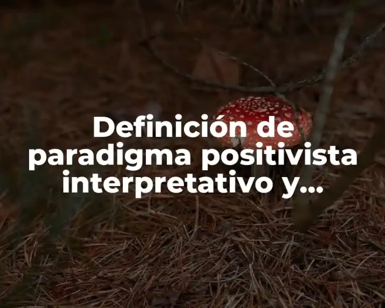 Definición de paradigma positivista interpretativo y sociocritico